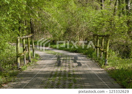 Wooden railings in the forest stretch along a path among trees and greenery. Wooden railings in the forest stretch along a path among trees and greenery. 125332629