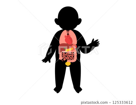 Internal organs of the child 125333612