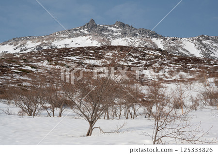 栃木縣那須山白雪皚皚的登山道上看到的四月風景 125333826