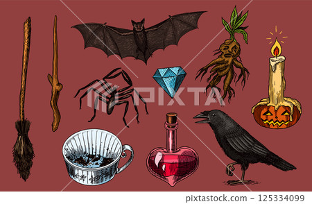 Big collection of wizardry elements for magic rituals or tarot deck, book, cat hand Witch with stone 125334099