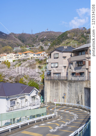 Ishikiri S-curve and cherry blossoms in full bloom Ishikiri S-curve and cherry blossoms in full bloom 125334108