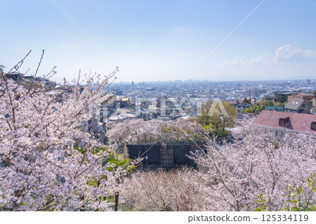 從石切站附近眺望大阪平原和盛開的櫻花 125334119