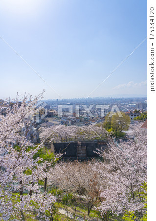 從石切站附近眺望大阪平原和盛開的櫻花 125334120