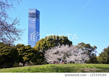 Chiba Port Park in Spring Chiba Port Park in Spring 125334169