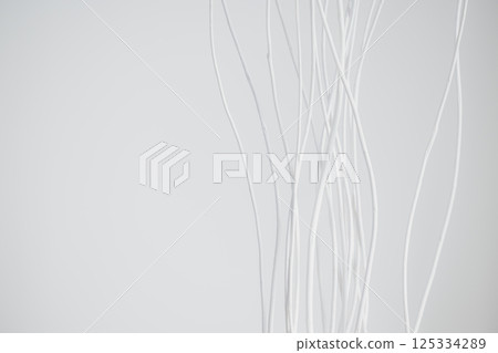 White dried flowers 125334289