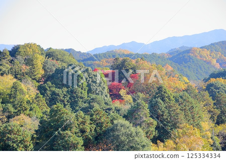 Colorful suburban villages 125334334