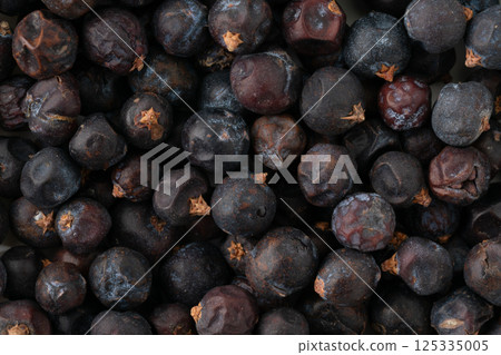 Juniper berries close-up Juniper berries close-up 125335005