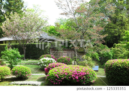 奈良國立博物館花園 125335351