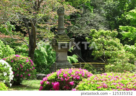 奈良國立博物館花園：青苔覆蓋的寶塔 125335352
