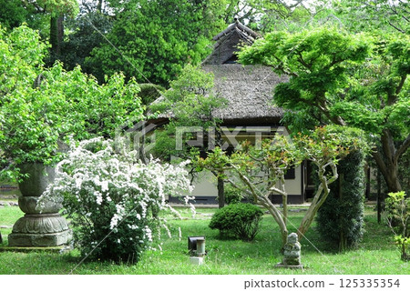 奈良國立博物館花園：綠意盎然的茶室“八相庵” 125335354