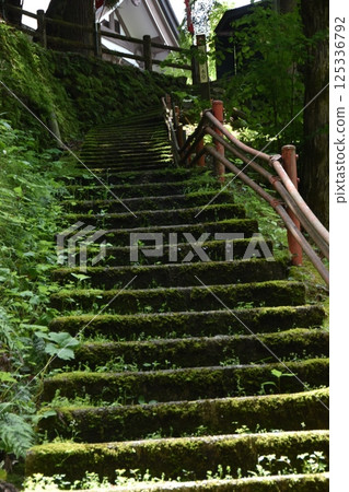 Mossy stairs Mossy stairs 125336792