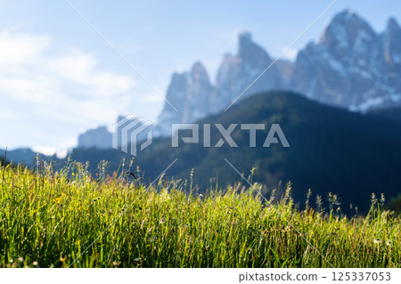 Scenic mountain view with lush green meadow near Valley of Funes at Dolomites, Italy Scenic mountain view with lush green meadow near Valley of Funes at Dolomites, Italy 125337053