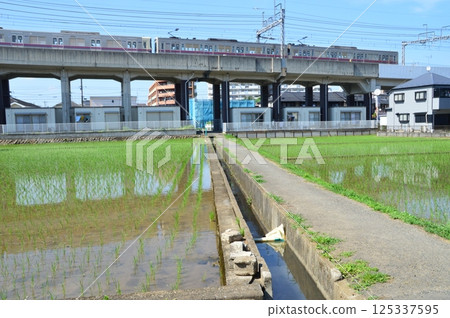 Waterway Countryside 125337595