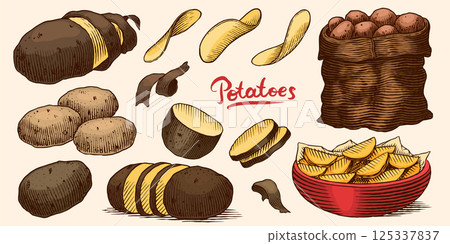 Potatoes and plant hand drawn. Collection of vegetables and chips in a dish and full sack of fresh 125337837
