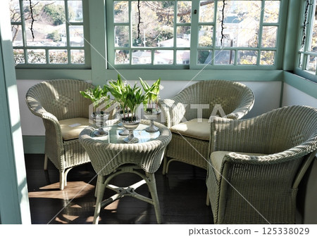 冬季日光浴室配有藤沙發 125338029
