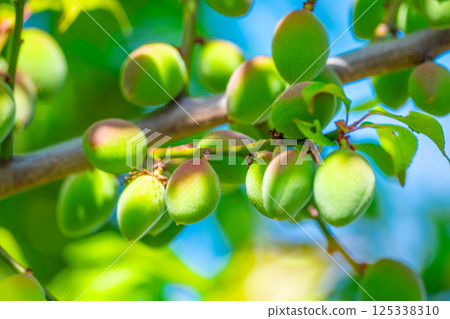 Pesticide Ome Pesticide Ome 125338310