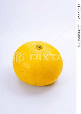 Banpeiyu Citrus Banpeiyu Citrus 125338413