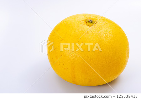 半佩玉柑橘 125338415