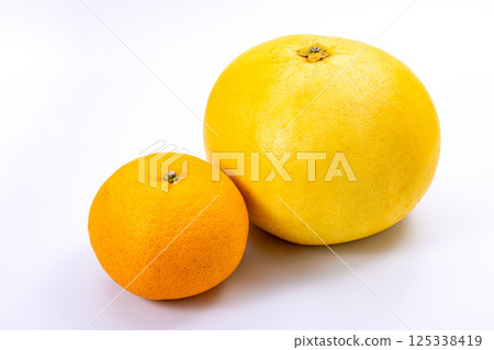 Banpeiyu Citrus 125338419