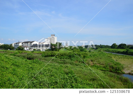 八王子市淺川印象 125338678