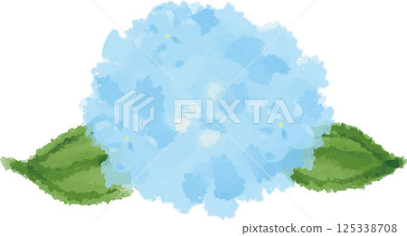 淡藍色繡球花水彩插圖 125338708