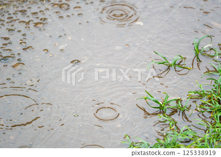 puddle on a rainy day 125338919