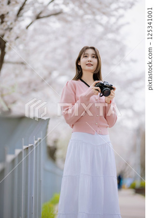 Portrait of a young woman photographing cherry blossoms with a camera Portrait of a young woman photographing cherry blossoms with a camera 125341001