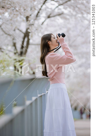 Portrait of a young woman photographing cherry blossoms with a camera Portrait of a young woman photographing cherry blossoms with a camera 125341003