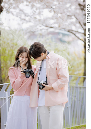 A friendly couple enjoying a date on a street filled with cherry blossoms 125341020
