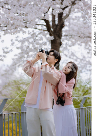 A friendly couple enjoying a date on a street filled with cherry blossoms 125341023