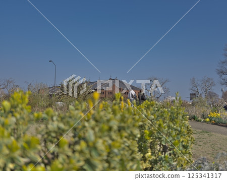 Two walking paths 125341317