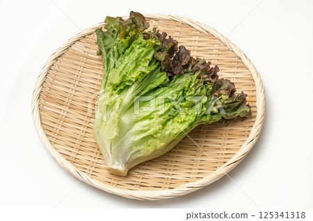 漏勺上的陽光生菜 125341318