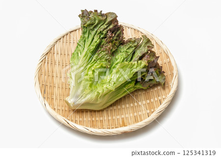 漏勺上的陽光生菜 125341319