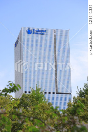 東京都千代田區永田町保誠大廈2丁目 125341325