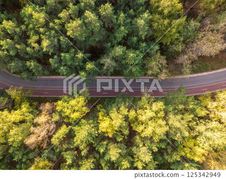Flight over the autumn mountains with road serpentine and deciduous and pine forest. Top down view. 125342949