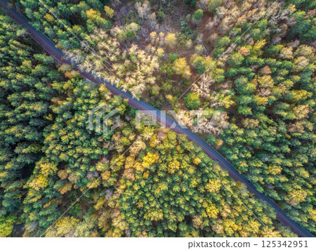 Flight over the autumn mountains with road serpentine and deciduous and pine forest. Top down view. 125342951