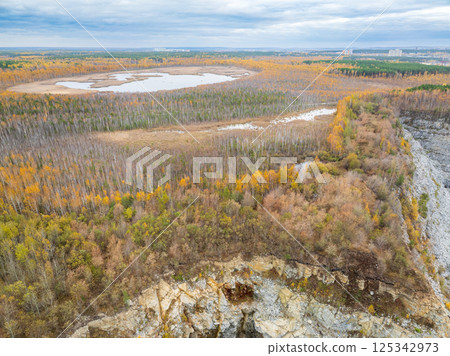 Aerial view of lake or river green shore with forest. Summer season. 125342973
