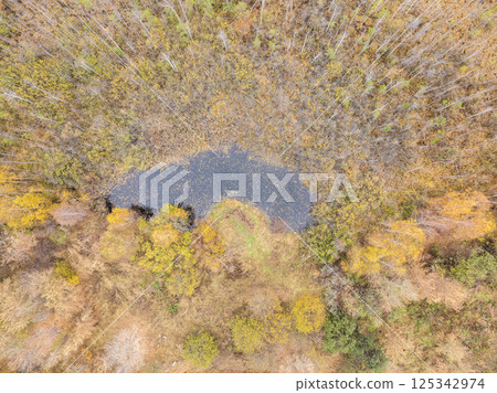 Aerial drone view of stunning colorful autumn fall forest. Aerial drone view of stunning colorful autumn fall forest. 125342974