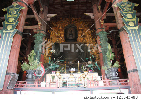 奈良公園 東大寺 大佛鹿 125343488