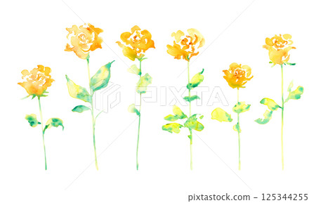 Watercolor painting. Watercolor yellow rose illustration. Father's Day yellow rose frame. 125344255