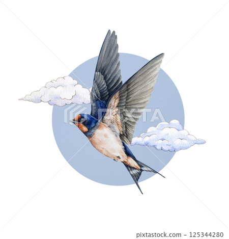 Flying swallow bird on sky background with clouds. Watercolor vintage style painted illustration. Cute barn swallow with spread wings decor element. Wildlife nature free flying martin bird decoration Flying swallow bird on sky background with clouds. Watercolor vintage style painted illustration. Cute barn swallow with spread wings decor element. Wildlife nature free flying martin bird decoration 125344280