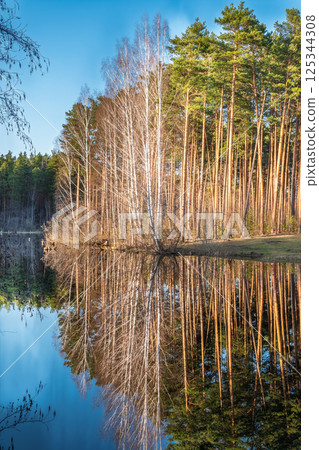 Calm lake with green trees on the shore and a beautiful reflection. Summer landscape. Calm lake with green trees on the shore and a beautiful reflection. Summer landscape. 125344308