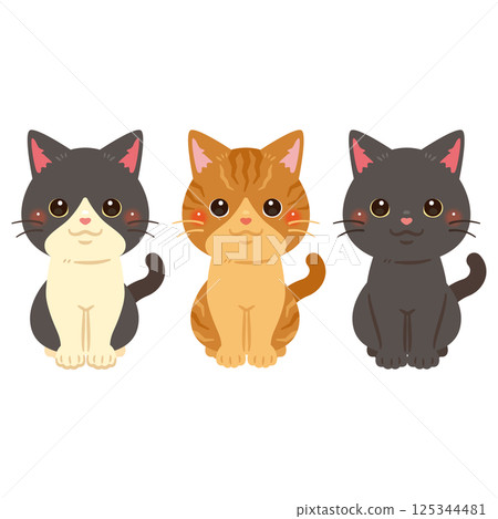 Cat color illustration set 125344481