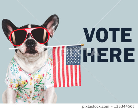 VOTE HERE. US Elections. 2024 Presidential Election VOTE HERE. US Elections. 2024 Presidential Election 125344505