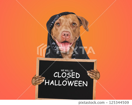Signboard with the inscription We will be closed on Halloween Signboard with the inscription We will be closed on Halloween 125344509