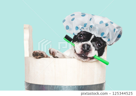 Cute puppy sitting in a big wooden barrel. 125344525