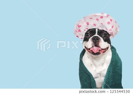 Cute puppy, shower cap and towel. Studio shot Cute puppy, shower cap and towel. Studio shot 125344530