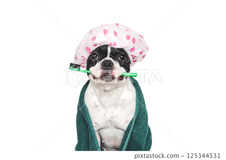 Cute puppy, shower cap, toothbrush and blue towel 125344531