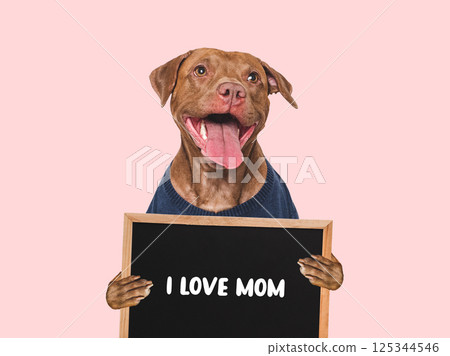 Cute dog and sign with love words for Mom Cute dog and sign with love words for Mom 125344546