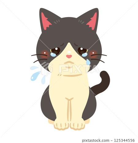 Illustration of a crying cat Illustration of a crying cat 125344556